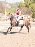 DSC03233 DSC03233