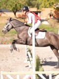 DSC03234 DSC03234