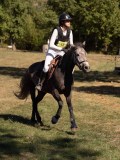 DSC04615 DSC04615