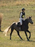 DSC06528 DSC06528