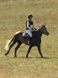 DSC06529 DSC06529
