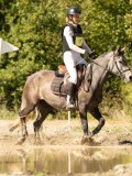 DSC06535 DSC06535