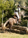 DSC06539 DSC06539