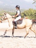DSC03819 DSC03819