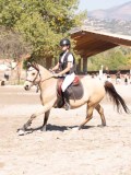 DSC03826 DSC03826