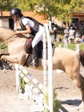 DSC03827 DSC03827