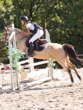 DSC03828 DSC03828
