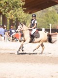 DSC03829 DSC03829
