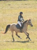 DSC06820 DSC06820