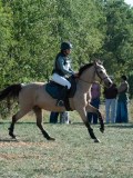 DSC_6090 DSC_6090