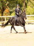 DSC08529 DSC08529