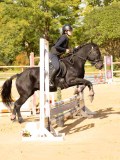 DSC08534 DSC08534