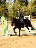 DSC08538 DSC08538