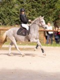 DSC07761 DSC07761