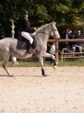 DSC07763 DSC07763