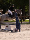 DSC07764 DSC07764