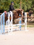 DSC06924 DSC06924