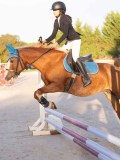 DSC05935 DSC05935