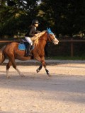 DSC05939 DSC05939