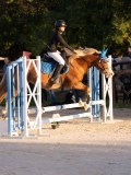 DSC05940 DSC05940