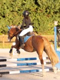 DSC05944 DSC05944