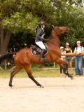 DSC04676 DSC04676