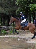 IMG_2878 IMG_2878