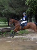 IMG_2879 IMG_2879