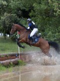 IMG_2887 IMG_2887