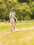 DSC02669 DSC02669
