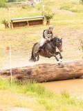 DSC07665 DSC07665