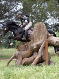 IMG_2795 IMG_2795