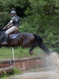 IMG_2804 IMG_2804
