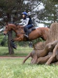 IMG_2813 IMG_2813