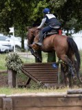 IMG_2826 IMG_2826