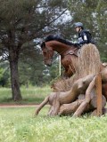 IMG_2912 IMG_2912
