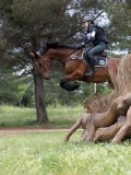 IMG_2913 IMG_2913