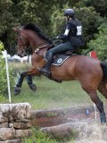 IMG_2922 IMG_2922