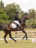 24_07138 24_07138