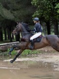 IMG_3004 IMG_3004