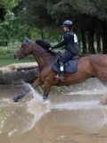 IMG_2835 IMG_2835