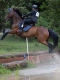 IMG_2841 IMG_2841