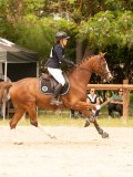 DSC05269 DSC05269