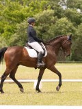 24_07313 24_07313