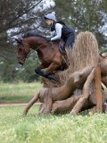 IMG_2984 IMG_2984