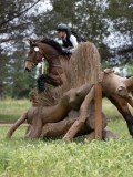 IMG_3036 IMG_3036