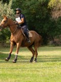 DSC08080