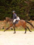 DSC05329 DSC05329