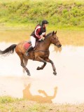 DSC07298 DSC07298