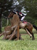 IMG_2384 IMG_2384